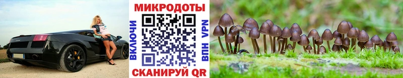 Галлюциногенные грибы мухоморы Чердынь